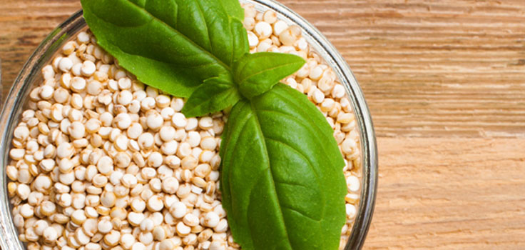 Recipe_turkeyquinoasalad.jpg