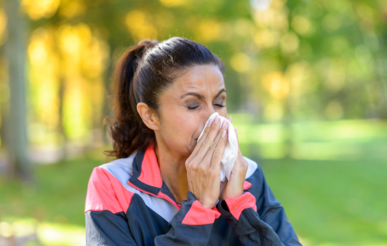 sinus.jpg